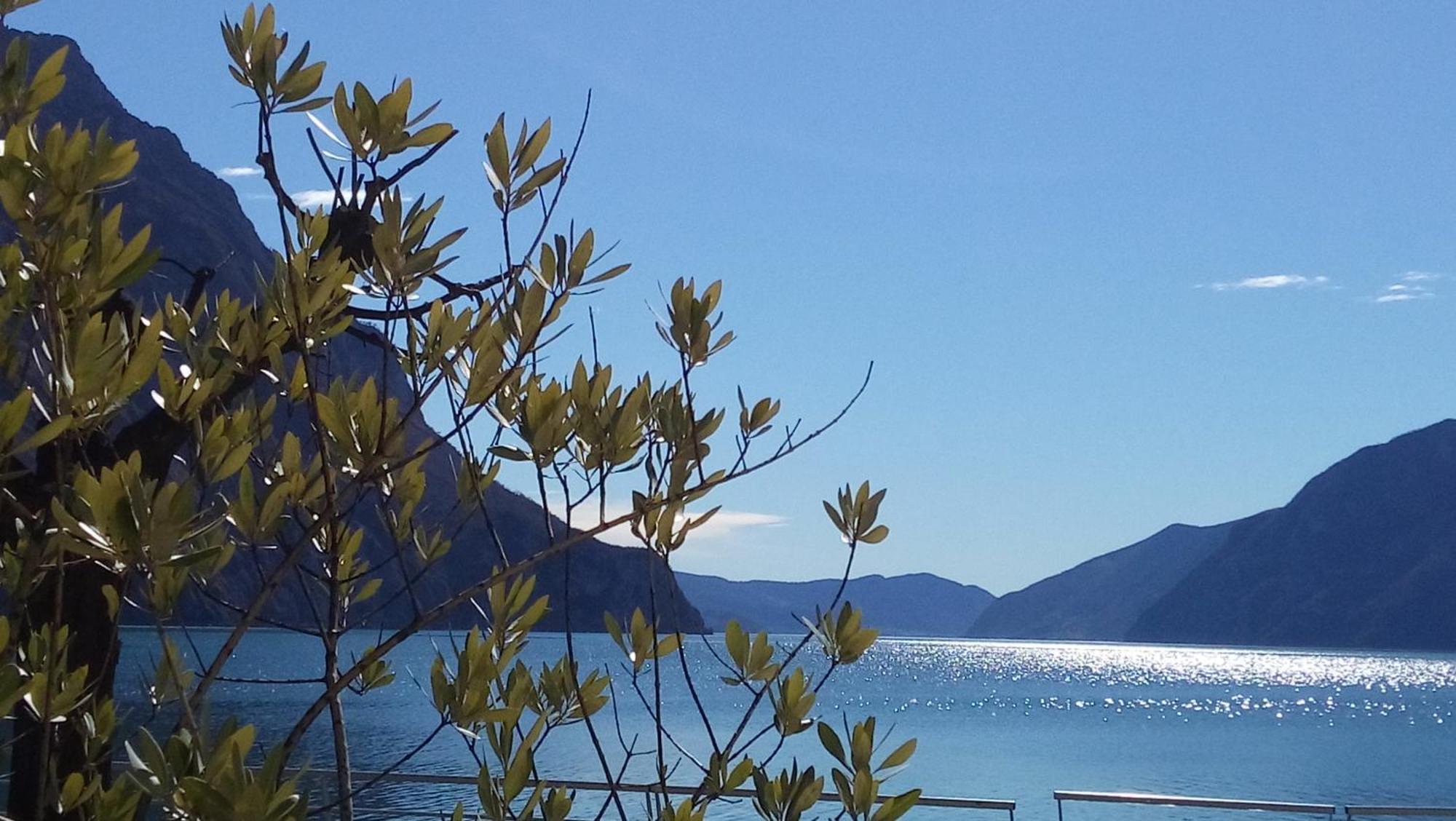 Ca Del Lac Castro  Экстерьер фото
